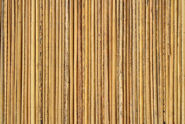 这房子的墙是芦苇做的。背景。纹理。图片下载