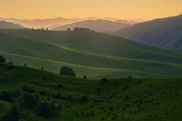 阿尔泰青山，高山牧场。图片下载
