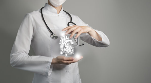 无法辨认的医生手里拿着突出的手画的心脏。医学插画，模板，科学模型。图片下载