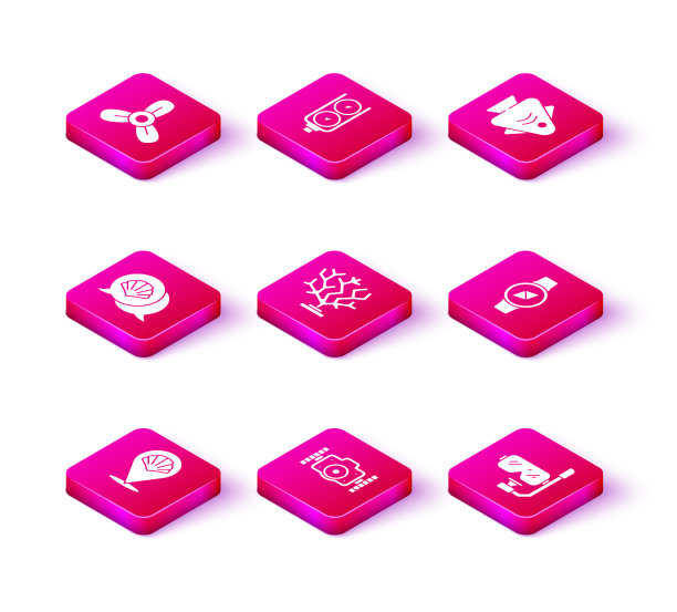 设置扇贝海贝壳照片相机珊瑚潜水图片下载