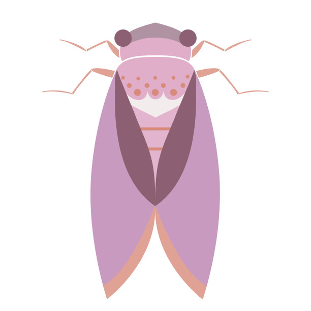 蝉虫几何昆虫矢量插图在平面风格图片下载