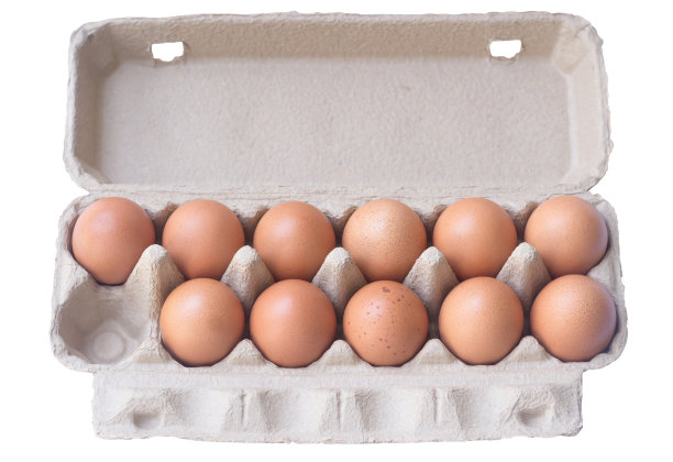 俯视图照片新鲜的有机鸡蛋在开放的纸箱或容器孤立在白色背景图片下载
