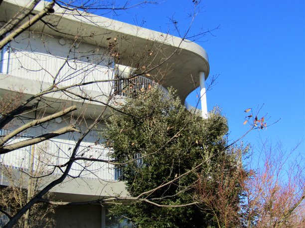 日本。12月。新的教学楼。图片下载