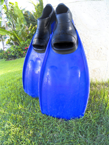 草地上一对潮湿的蓝色潜水鳍图片下载