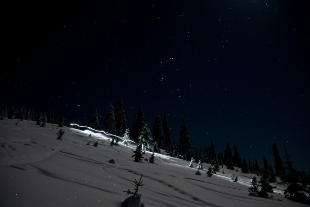 美丽的夜空和冬天的山坡，白雪覆盖的松树图片下载