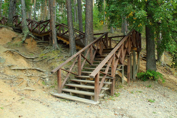 森林里带台阶的木楼梯。背景。景观。图片下载