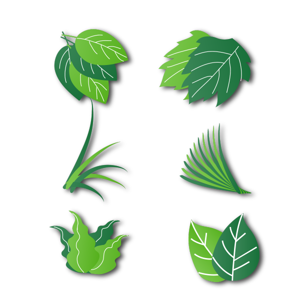 植物树叶叶片剪影图片下载
