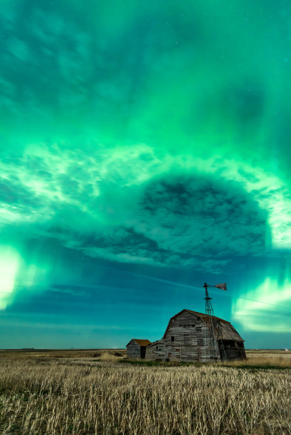 加拿大萨斯喀彻温省，明亮的北极光在老式谷仓、垃圾箱、风车和胡茬上旋转图片下载