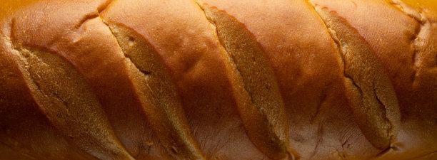 面包全景图片下载