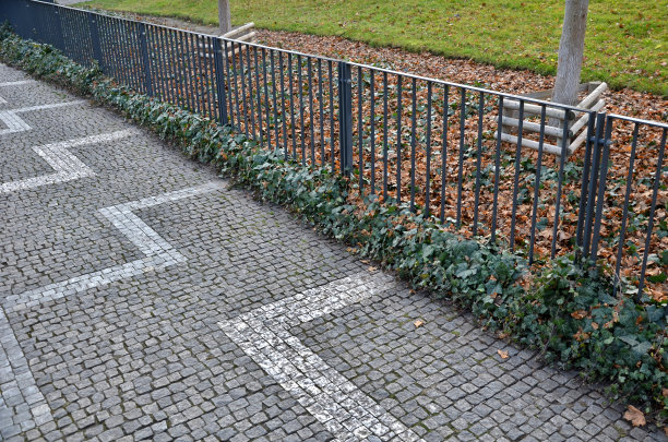 公园用黑色金属栏杆和垂直的格栅围起来，看起来很优雅，人们也不能在花坛和草坪上遛狗。这些树有木制的围栏图片下载