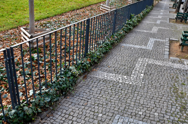 公园用黑色金属栏杆和垂直的格栅围起来，看起来很优雅，人们也不能在花坛和草坪上遛狗。这些树有木制的围栏图片下载