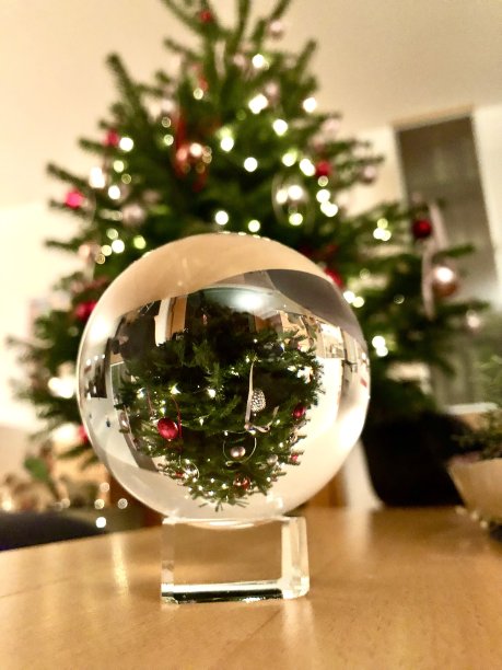 透过水晶球拍摄的圣诞树图片下载