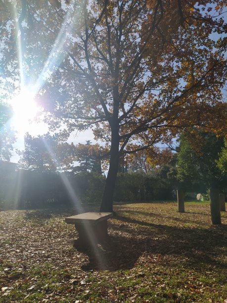 一个古老的长椅上图片下载