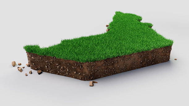 迪拜阿联酋地图草和地面纹理3d插图图片下载