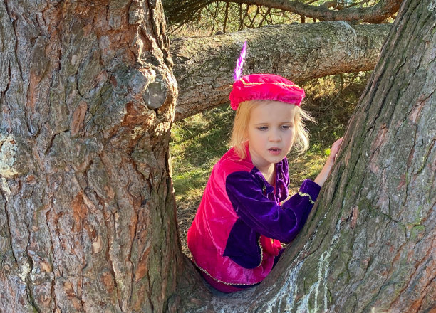 孩子们正在爬树图片下载