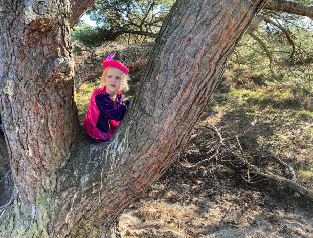 孩子们正在爬树图片下载