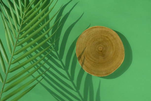 产品拍摄的木片和绿色背景图片下载