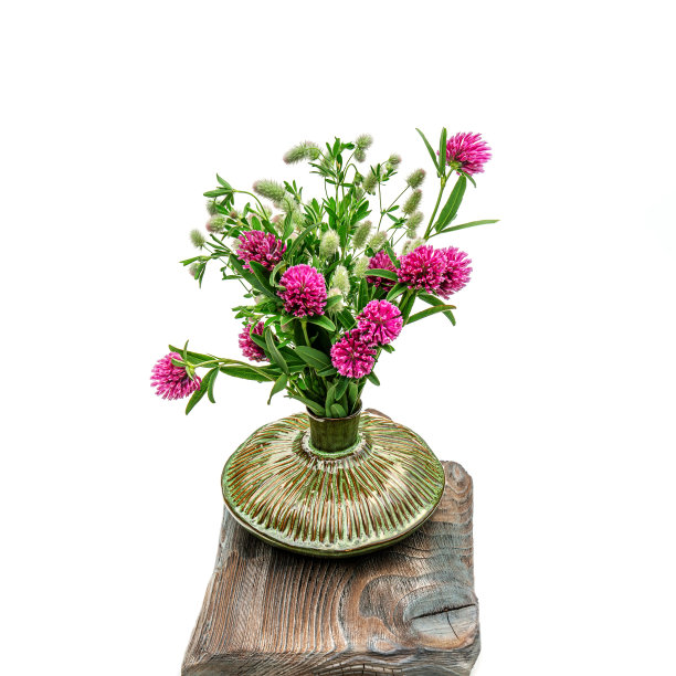 红色的三叶草花在一个漂亮的古董花瓶在一个漂亮的纹理古董板。孤立在白色的。软聚焦，模糊聚焦，选择性聚焦图片下载