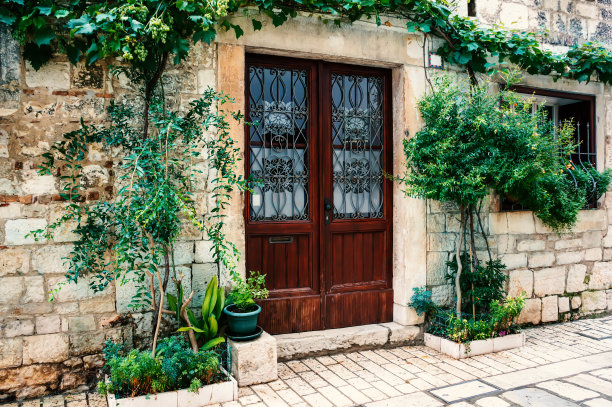 石墙上有门窗，装饰有攀缘植物。城市街道垂直绿化。这种植物直立地栽在石墙上图片下载