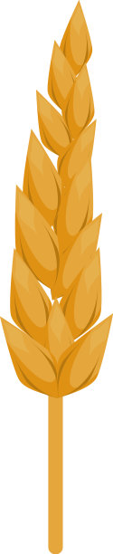 穗小麦黄金图片下载