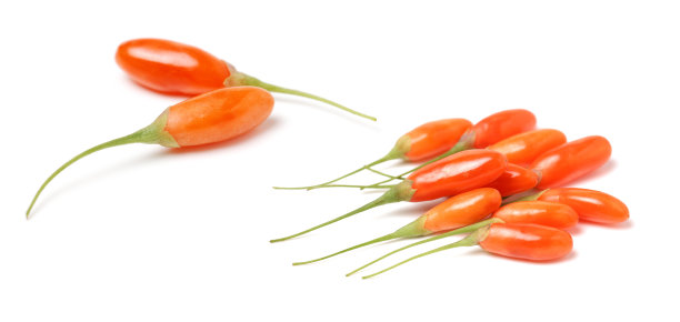 枸杞浆果图片下载