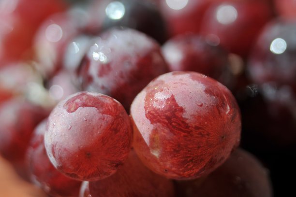 一串湿红葡萄的特写镜头。食品的背景图片下载