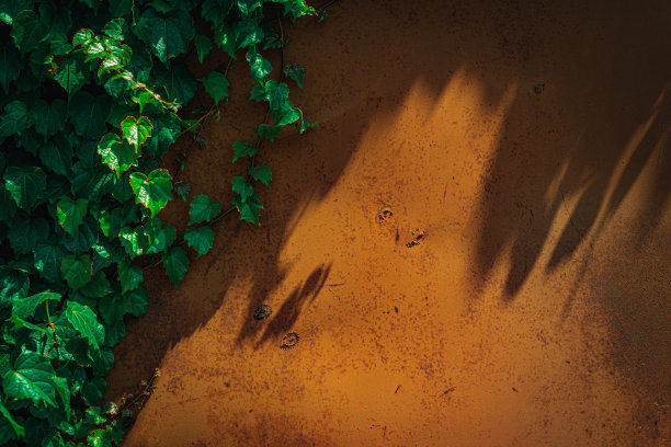 金属锈迹斑斑，背景有划痕，两边有常春藤叶子。背景文本。图片下载