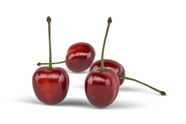 樱桃- 3D模型图片下载