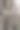 榕树的根图片下载