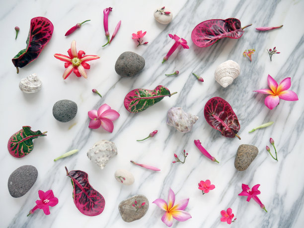 带有水疗花、禅意石、贝壳隔离在白色大理石上的横幅或壁纸。图片下载