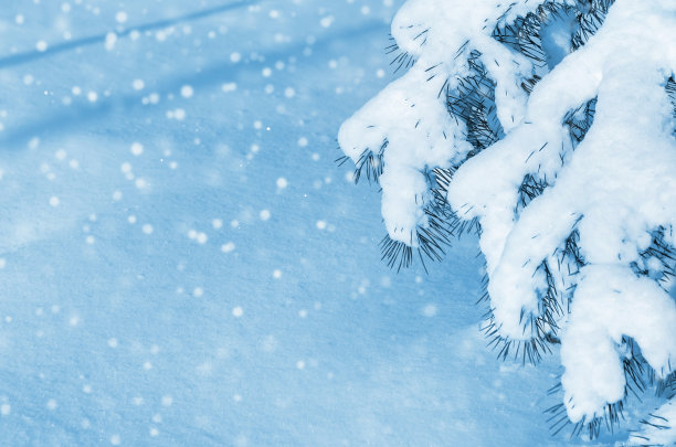 冬天的背景图片下载