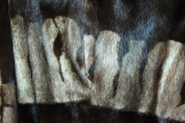 毛皮貂皮大衣。特写镜头。背景。纹理。图片下载