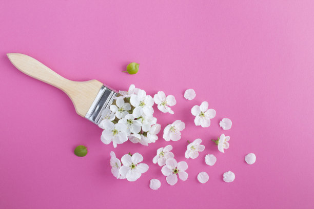 在粉红色的背景上画上白色的花朵。前视图。副本的空间。图片下载