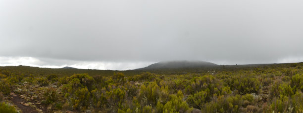 乞力马扎罗希拉营地。乞力马扎罗山前多云的全景景观。徒步旅行在非洲。非洲的最高点图片下载