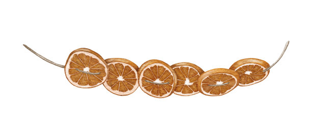 水彩圣诞装饰，节日食品插图，干橙果花环。寒假剪贴画孤立在白色背景上图片下载