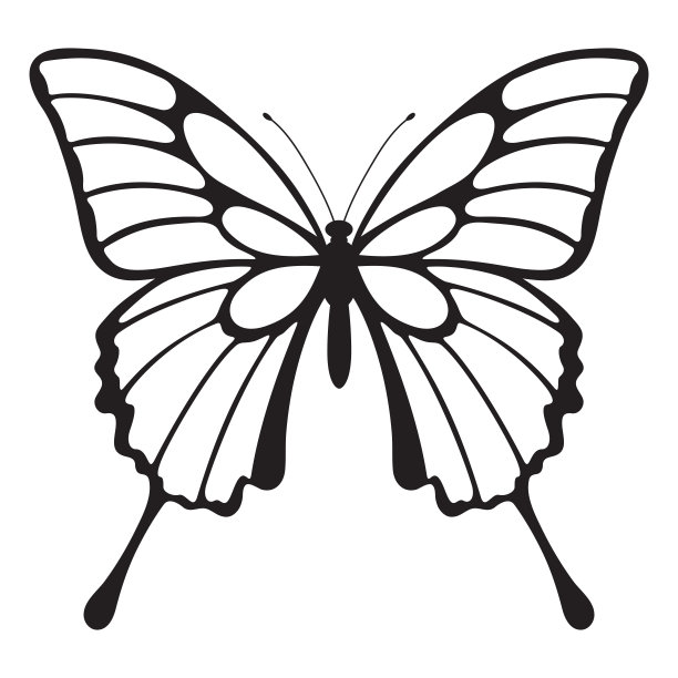 蝴蝶轮廓图图片下载