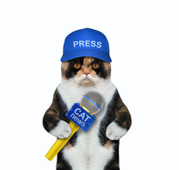 带着麦克风的猫色记者图片下载