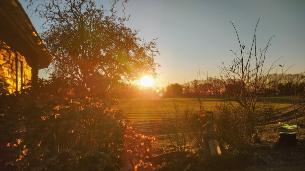 阳光在12月图片下载
