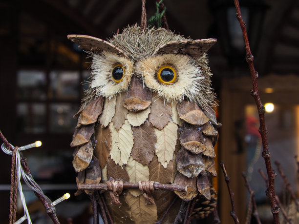 作为纪念品设计的大眼睛猫头鹰。图片下载