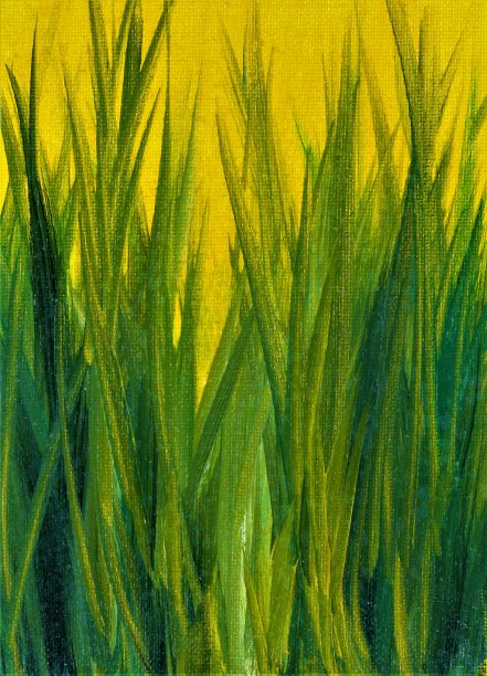 绿色的树叶。图片下载