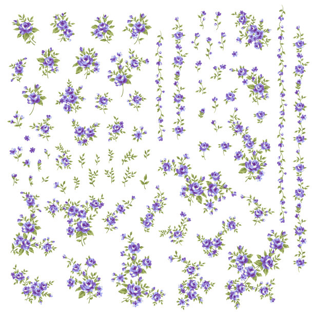 美丽的玫瑰插画素材收藏，图片下载