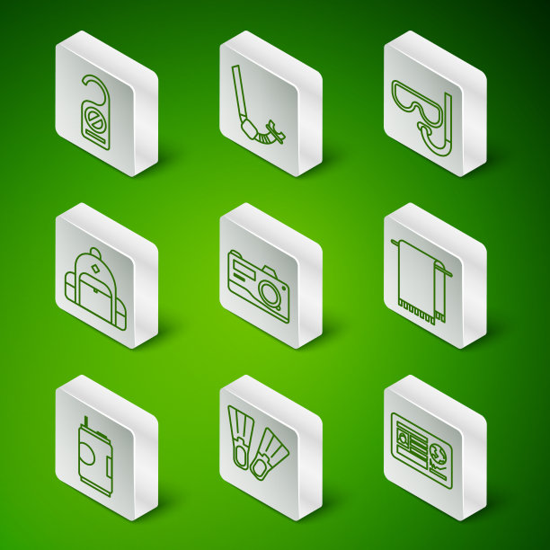 设置行护照与签证印章橡胶脚蹼图片下载