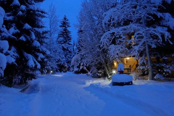 清晨的街道上满是雪。图片下载