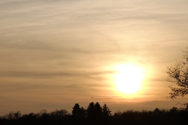 公园里的日落图片下载