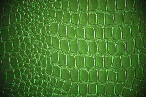 绿色爬行动物皮肤的抽象背景。图片下载