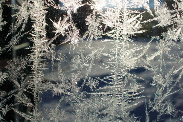 玻璃上的霜图片下载