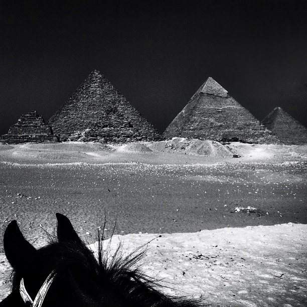 金字塔骑士图片下载