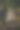 圣诞树上的铃铛玩具。节日的背景。图片下载
