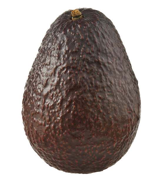 鳄梨哈斯孤立在白色背景图片下载