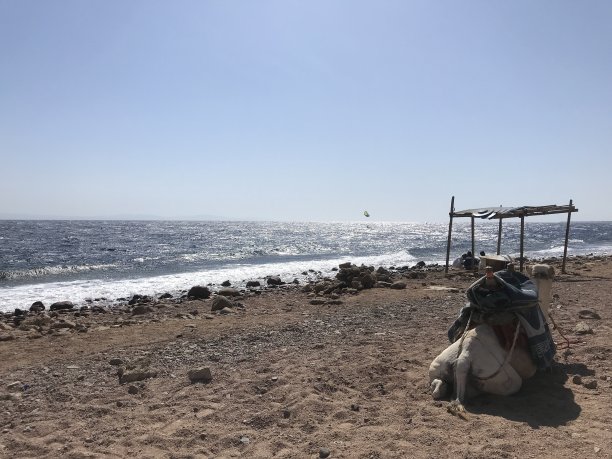 天空下沙漠与大海相遇图片下载